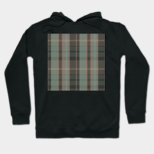 Dark Academia Aesthetic Conall 2 Hand Drawn Textured Plaid Pattern Hoodie